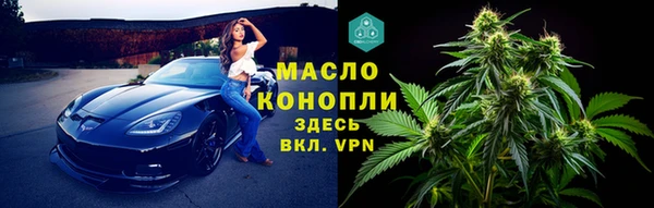 индика Осинники