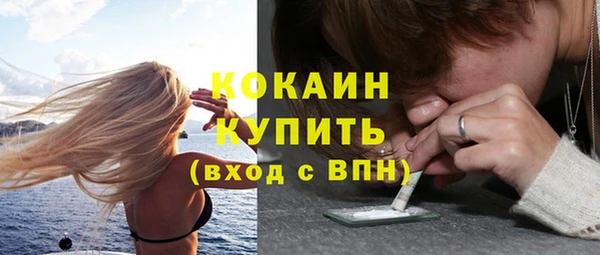 хмурый Абаза