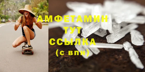 сатива Абинск