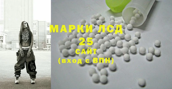 индика Осинники