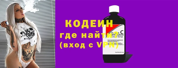 индика Осинники