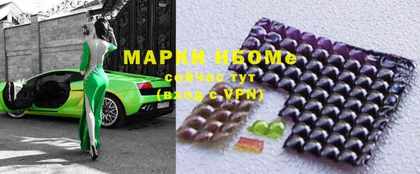 хмурый Абаза