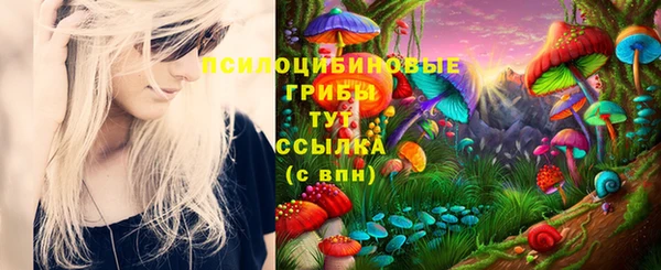 хмурый Абаза