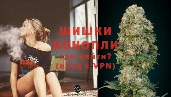 индика Осинники