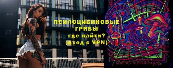 сатива Абинск