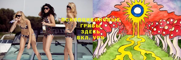 ешки Осташков