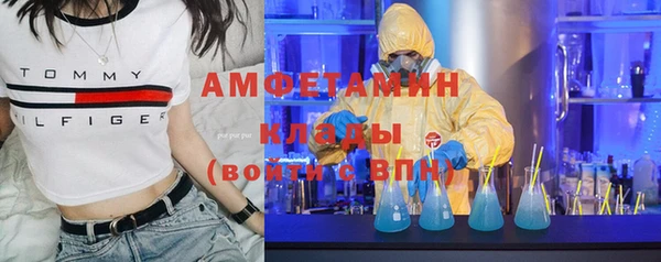 индика Осинники