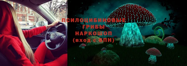 хмурый Абаза