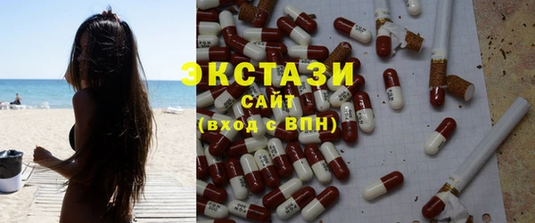 индика Осинники