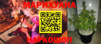 альфа пвп Кингисепп