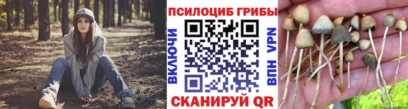 площадка телеграм  Фрязино  Галлюциногенные грибы MAGIC MUSHROOMS 