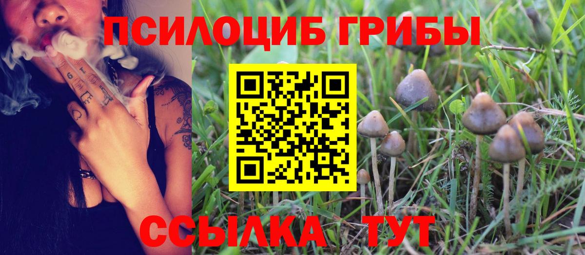 Псилоцибиновые грибы мухоморы  Галлюциногенные грибы Magic Shrooms  Фрязино  Вход с VPN 
