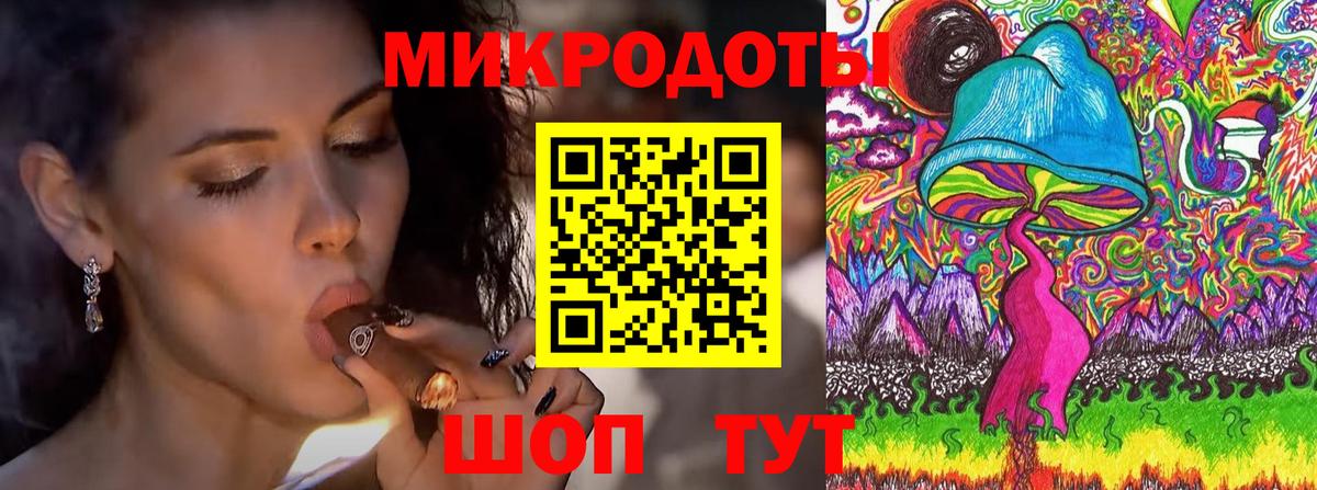 Псилоцибиновые грибы Psilocybine cubensis Фрязино